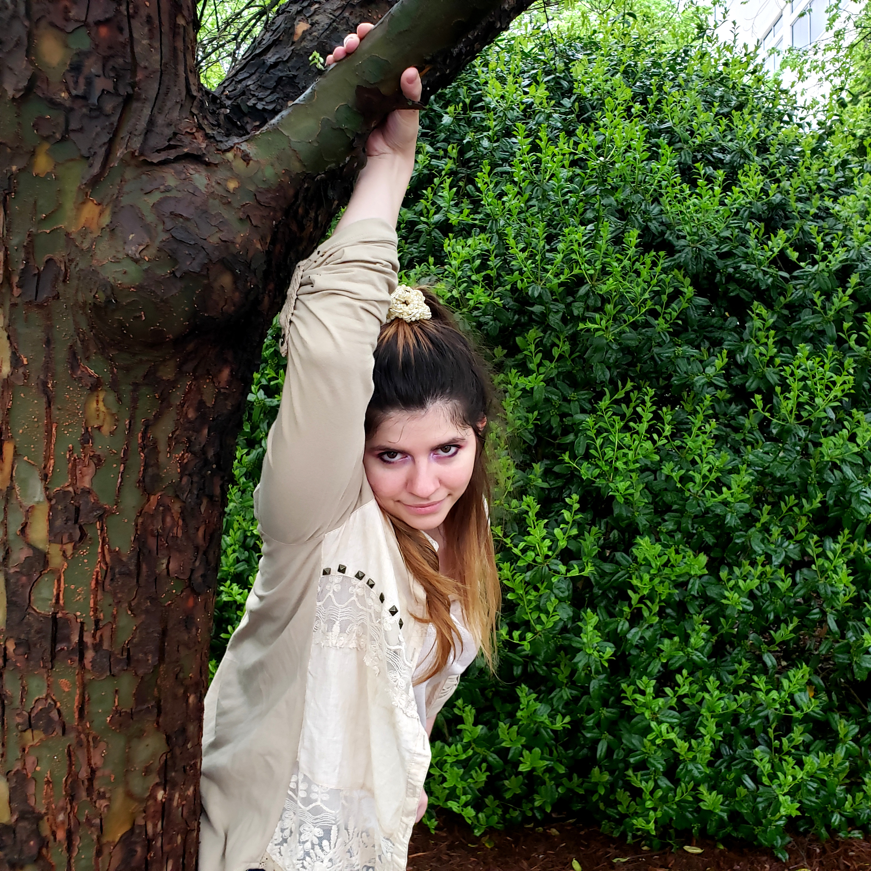 zelena hanging on a tree limb